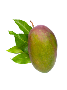 مانجو باز