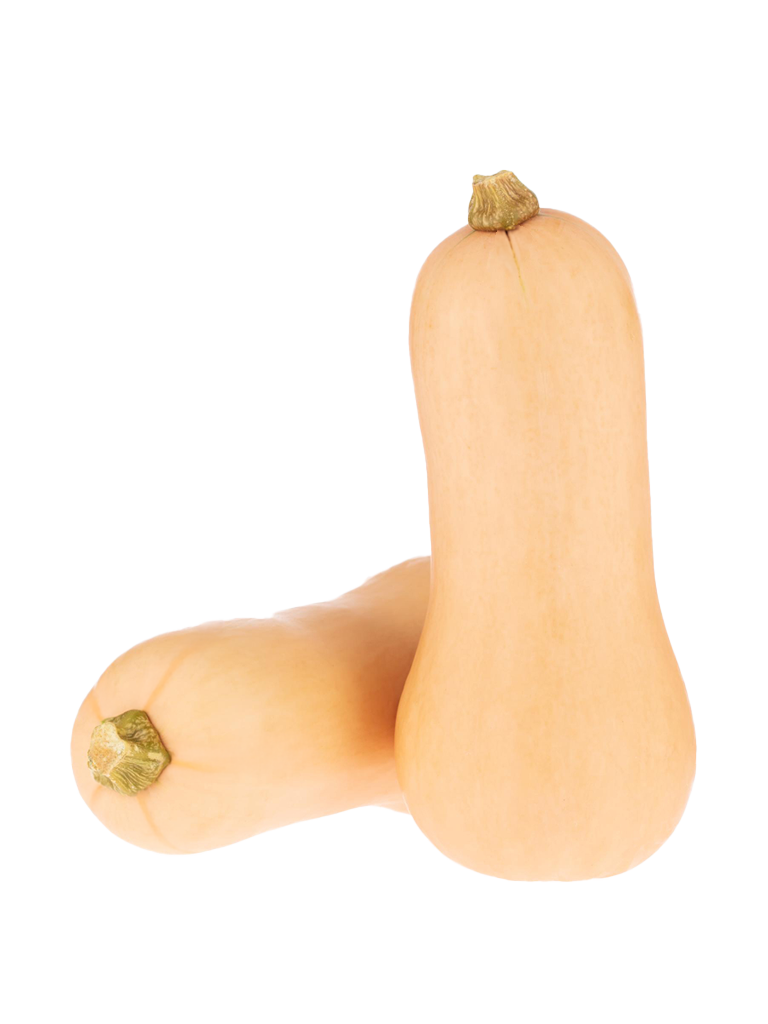 Butternut Squash