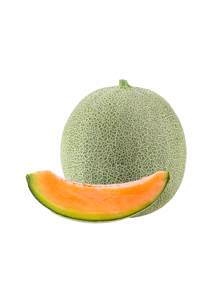 Egyptian Harper Melon