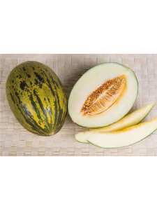 Piel de Sapo Melon