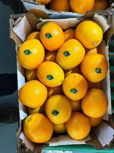 Navel Oranges