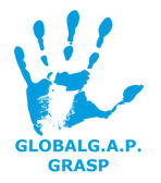 GRASP