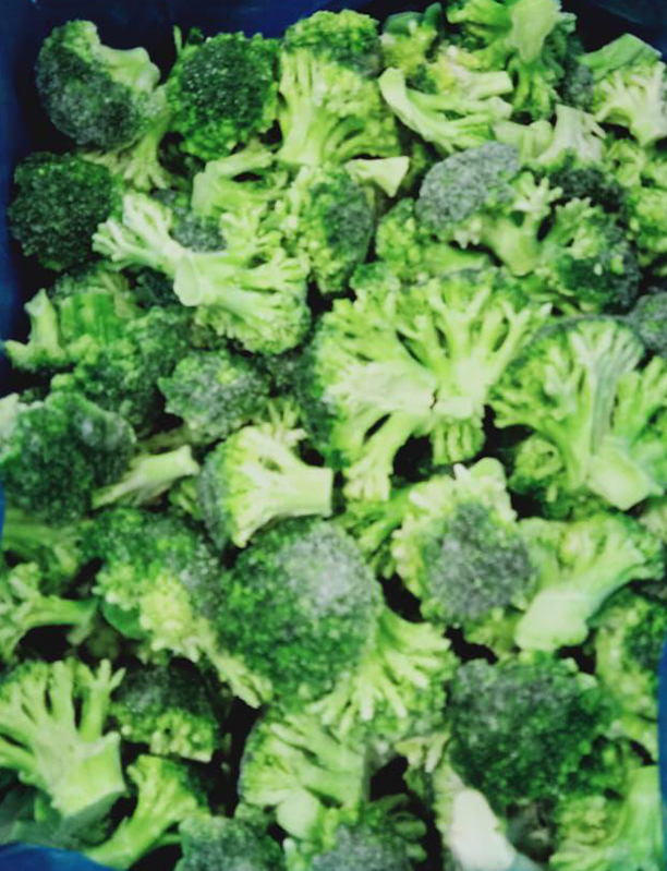 IQF Frozen Broccoli Florets