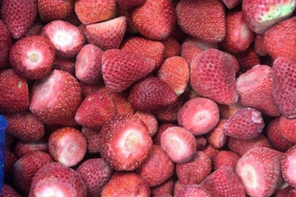 How to Choose Frozen Fruit Suppliers — and Why Egypt Is a Strong IQF Origin