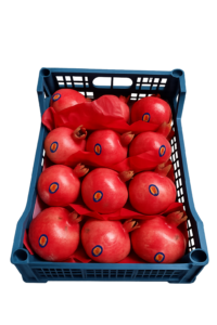 Fresh Egyptian pomegranates packed in a blue export crate by Gaara Export