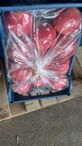 Egyptian pomegranate shipment packed in a ventilated plastic crate